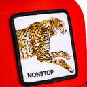 The Nonstop Cheetah