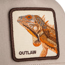 The Outlaw Lizard