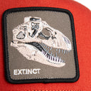 The Extinct Skull