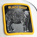 Tricolor Sheep