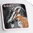 Tricolor Goat