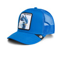 Hollywood Rooster Mini