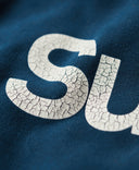 Core Logo Classic Hoodie