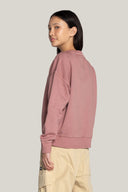 #color_light-dusty-rose