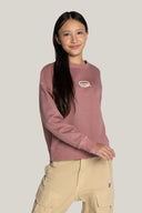 #color_light-dusty-rose