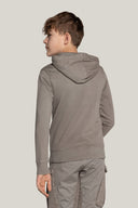 #color_elephant-skin